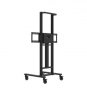 Avtek Statyw elektryczny TS ELECTRIC STAND LIGHT